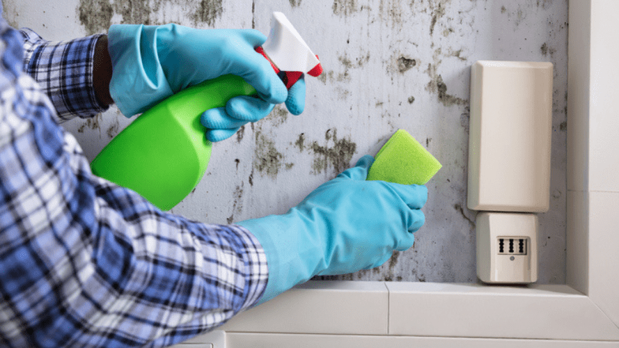 End-Of-Tenancy-Cleaning-In-Deptford Spend Smart, Leave Clean: Why Budgeting for End-of-Tenancy Cleaning Pays Off