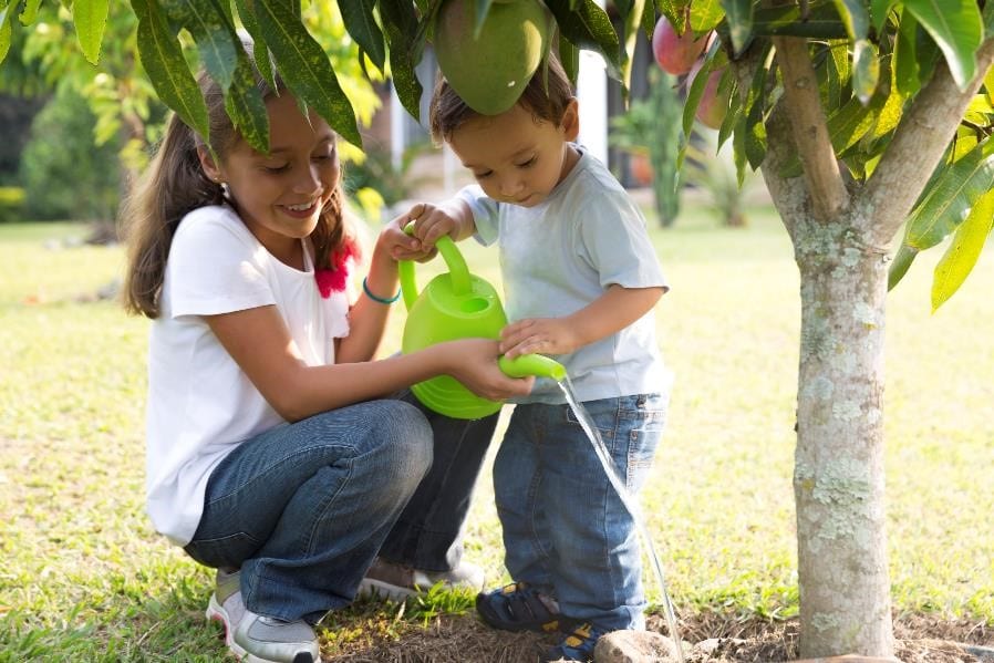 Landscaper-In-Niceville-Florida Turning Dreams Into Green: How Landscapers Create Romantic Backyards